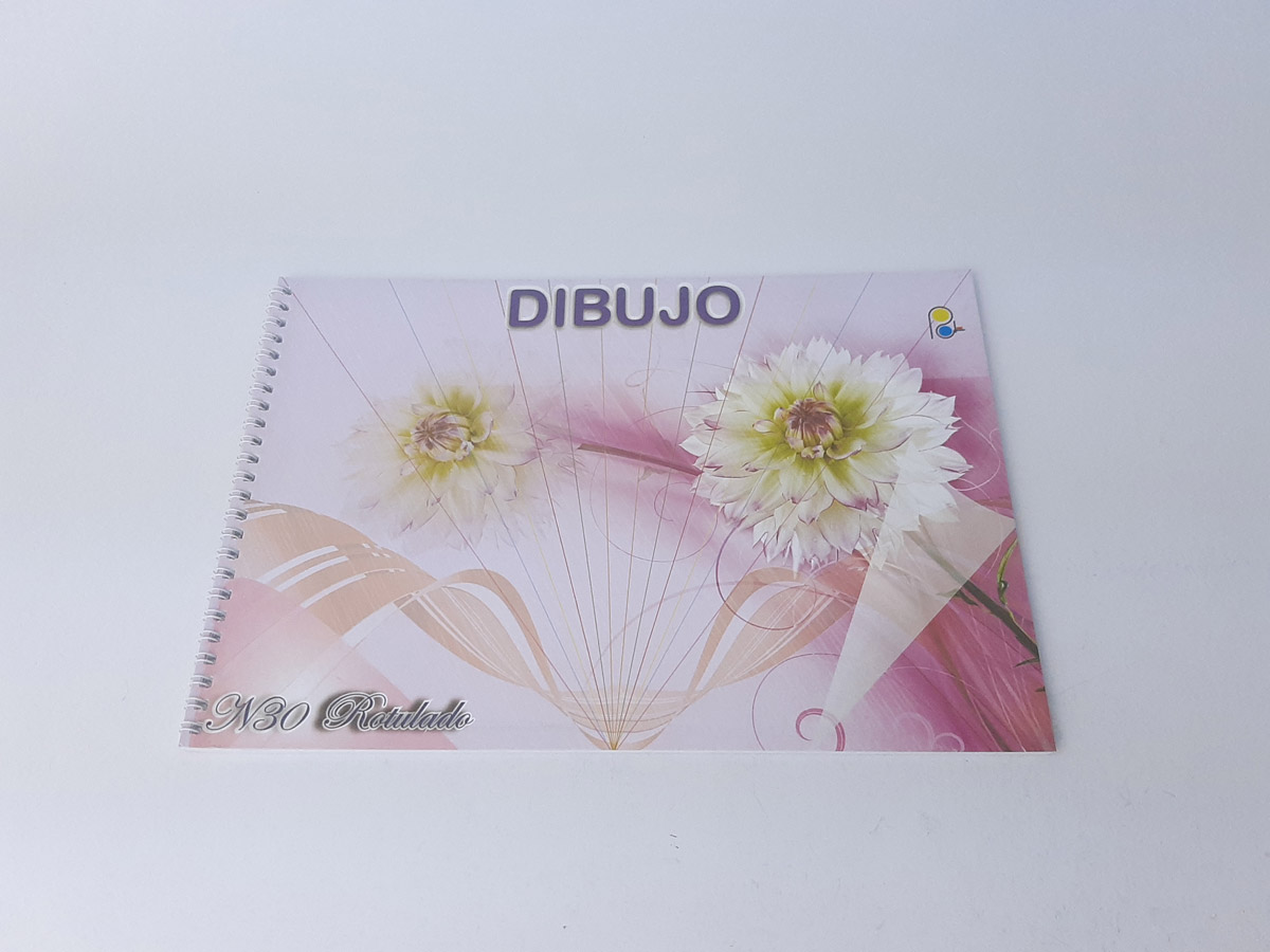 Cuaderno Dibujo Espiral Con Margen N 5 30 Hojas